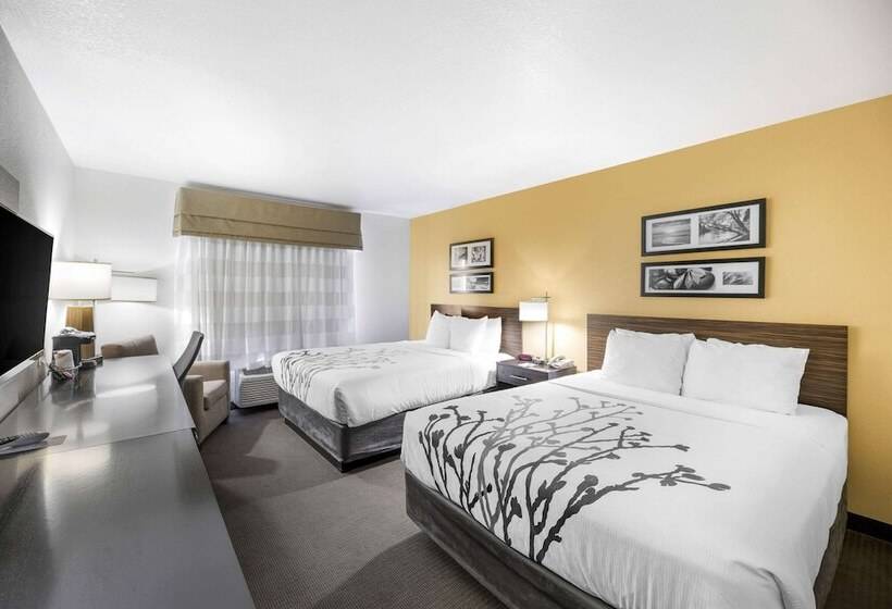带2个双人床的标准工作室, Sleep Inn & Suites Carlsbad Caverns Area