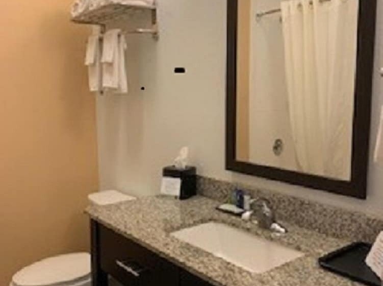 Люкс Адаптированный для Инвалидов, Sleep Inn & Suites Carlsbad Caverns Area
