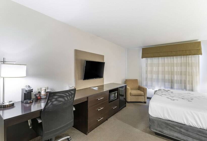 适合残疾人士使用的套间, Sleep Inn & Suites Carlsbad Caverns Area