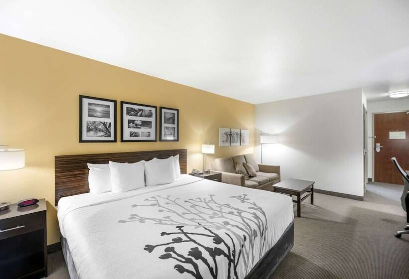 סוויטה מותאמת לאדם עם מוגבלויות, Sleep Inn & Suites Carlsbad Caverns Area