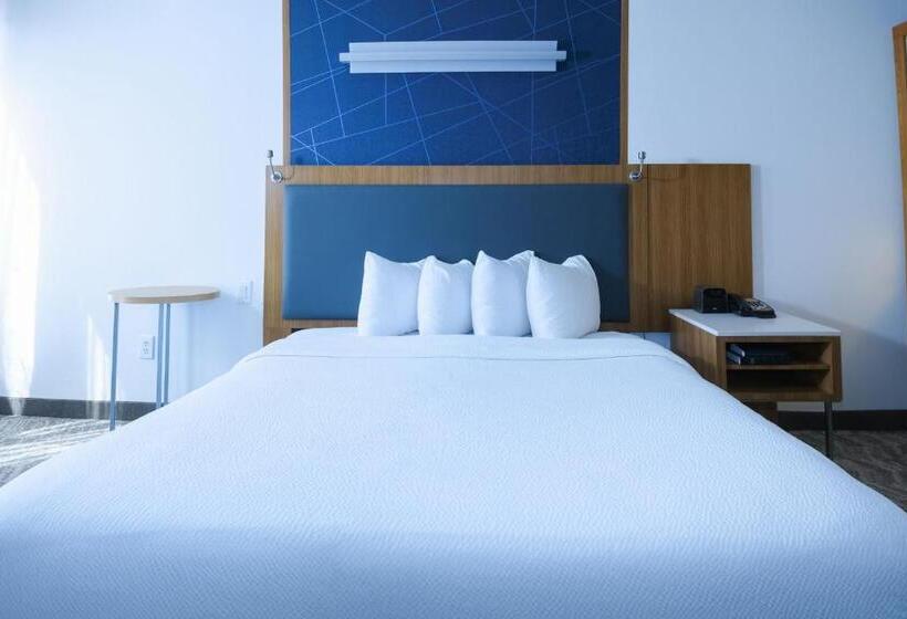 스위트 킹사이즈 침대, Springhill Suites By Marriott Dallas Lewisville