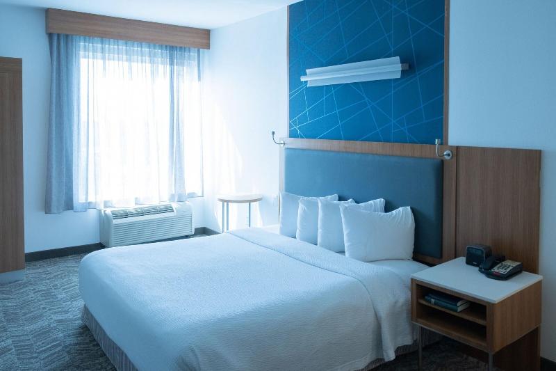 스위트 킹사이즈 침대, Springhill Suites By Marriott Dallas Lewisville