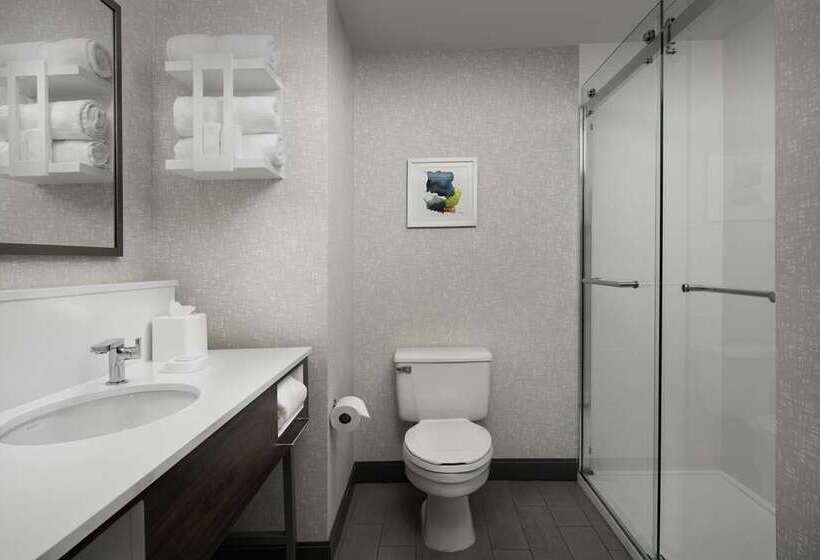 标准间, Hampton Inn Springfieldsoutheast