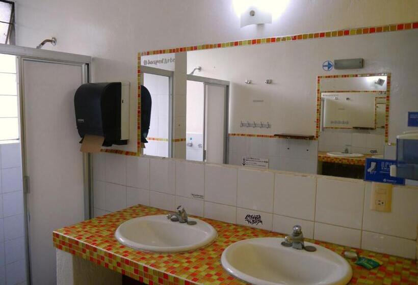 Chambre Standard Salle de Bains Commune, Hostel Hospedarte Chapultepec