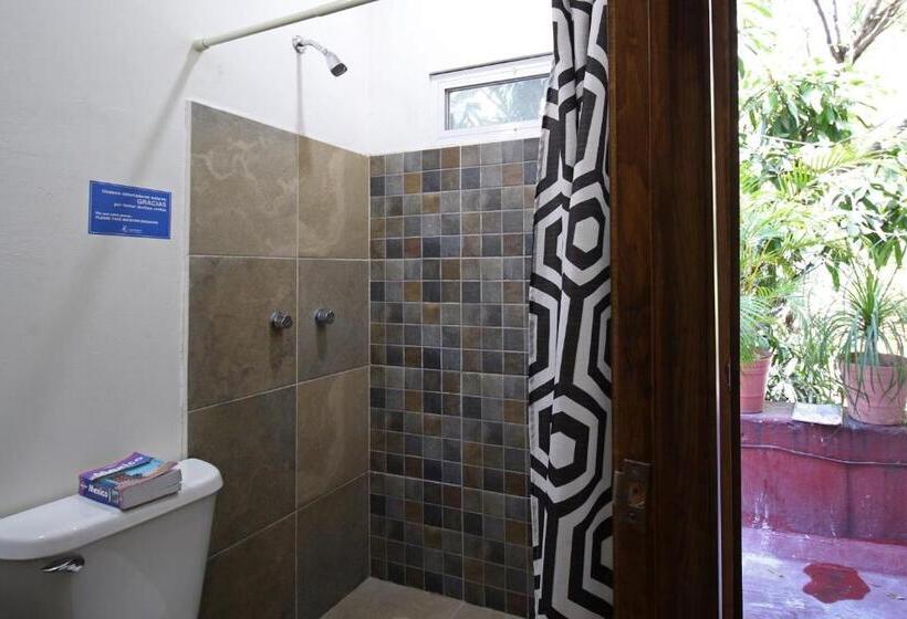 Chambre Deluxe, Hostel Hospedarte Chapultepec