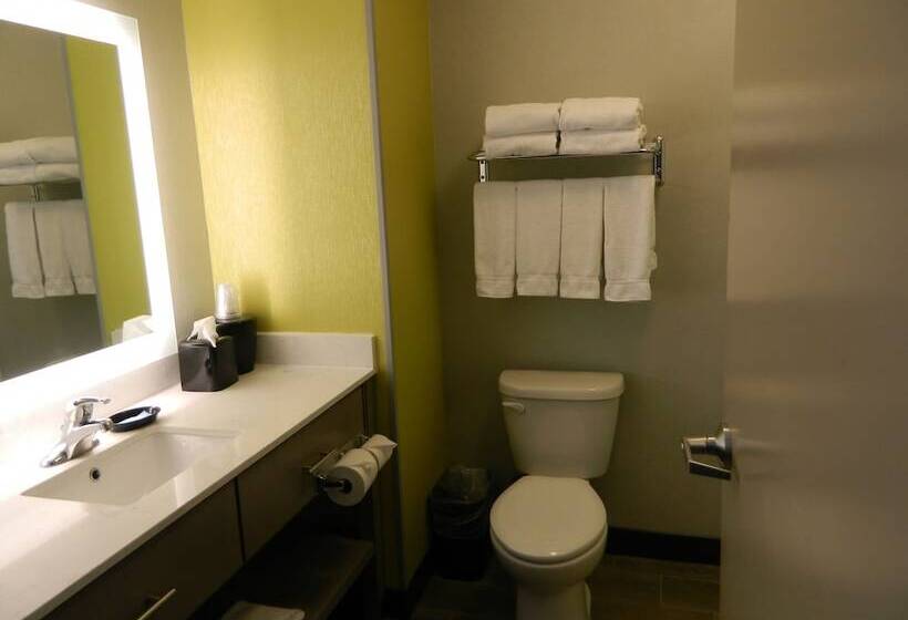 Люкс, Holiday Inn Express & Suites Shippensburg, An Ihg