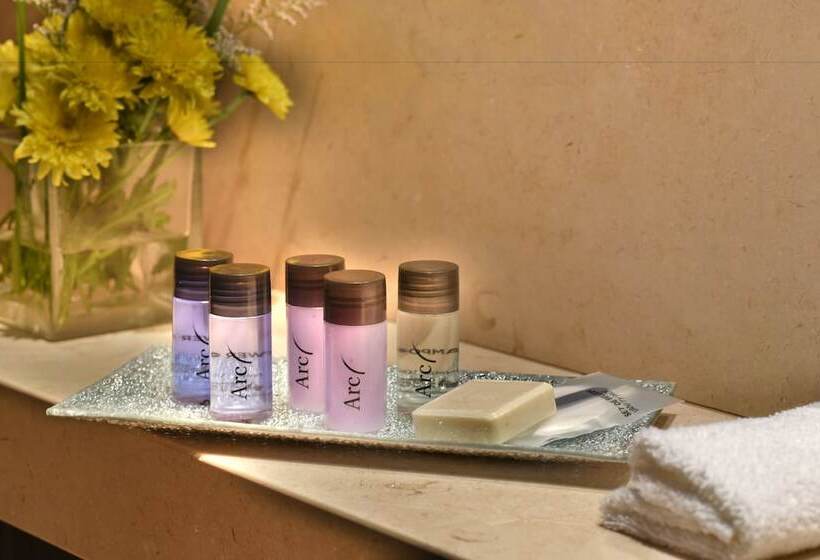 اتاق لوکس سه تخته, Arc Recoleta Boutique Hotel & Spa