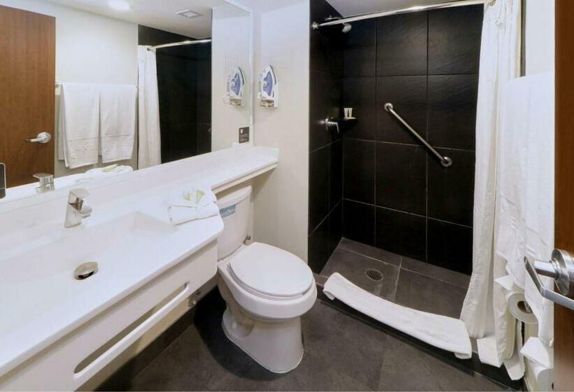 标准间, City Express Plus By Marriott Monterrey Nuevo Sur