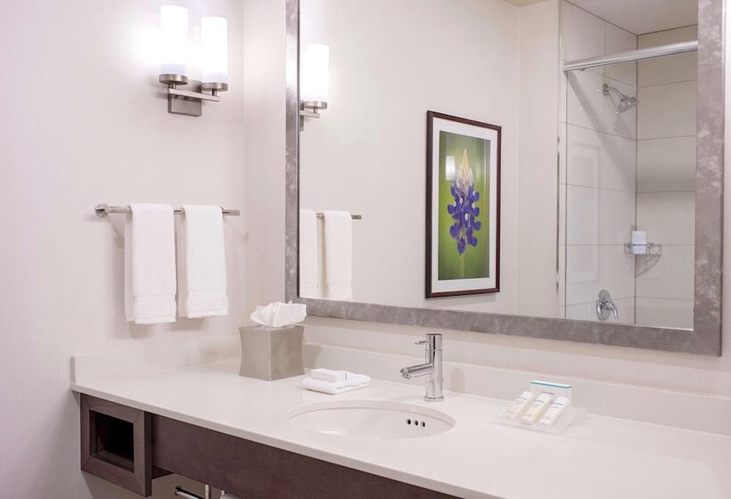 חדר סטנדרט שתי מיטות זוגיות, Hilton Garden Inn Downtown Dallas