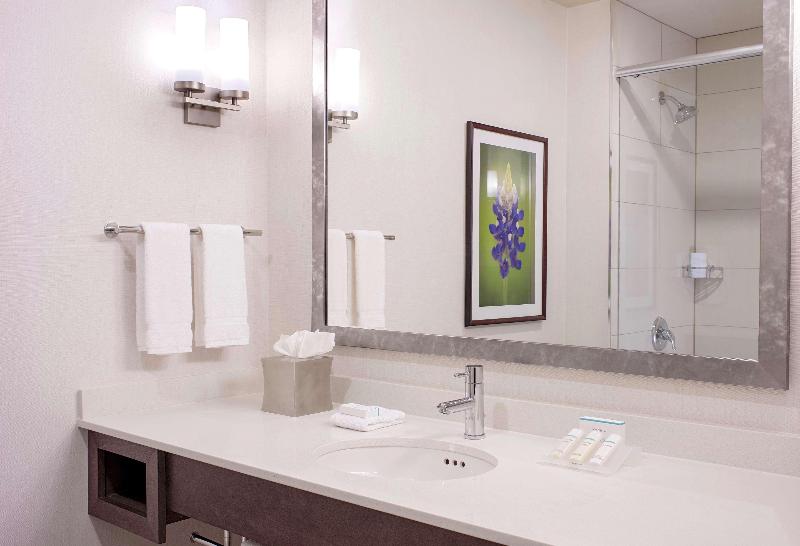 חדר סטנדרט עם מיטת קינג, Hilton Garden Inn Downtown Dallas