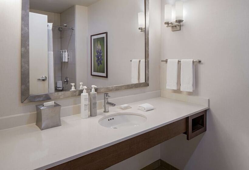 חדר סטנדרט שתי מיטות זוגיות, Hilton Garden Inn Downtown Dallas