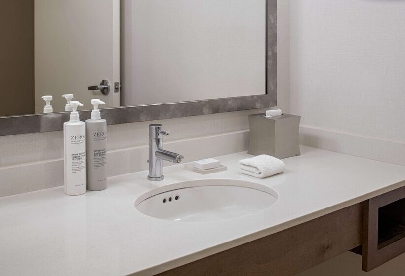 חדר דלוקס, Hilton Garden Inn Downtown Dallas