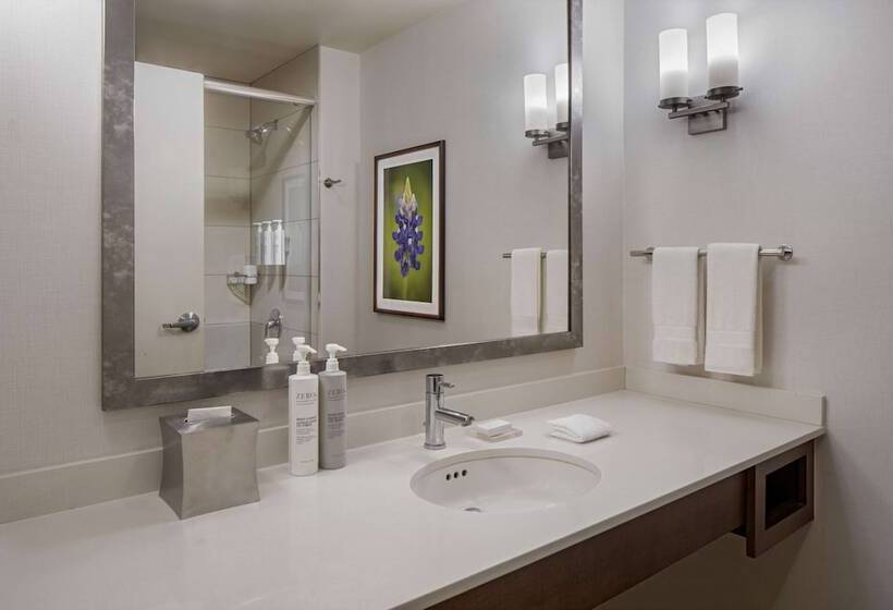 חדר דלוקס, Hilton Garden Inn Downtown Dallas