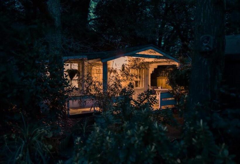 Шале 1 Спальня, Ward Avenue B&b