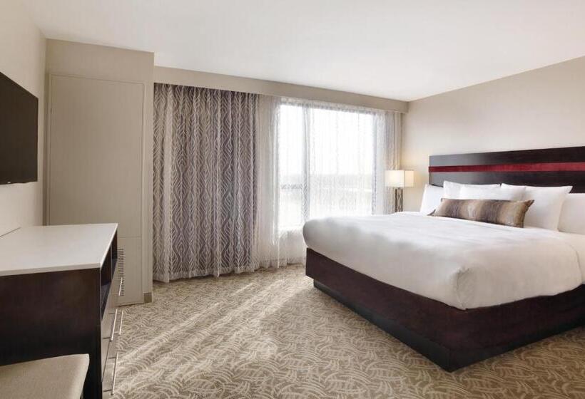 身障者適用キングサイズベッドルーム, Holiday Inn Chicago Schaumburg, An Ihg