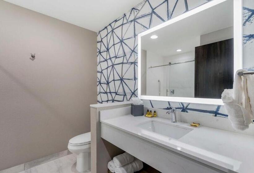اتاق استاندارد با تخت بزرگ, Best Western Plus Winter Haven Inn & Suites