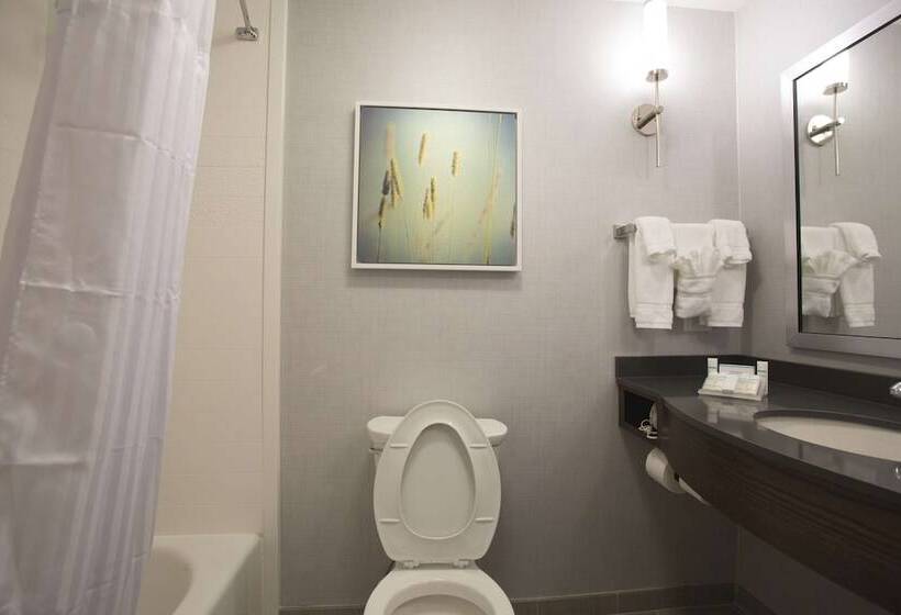 Quarto Estandar Cama King para Deficientes Físicos, Hilton Garden Inn Bolingbrook I 55