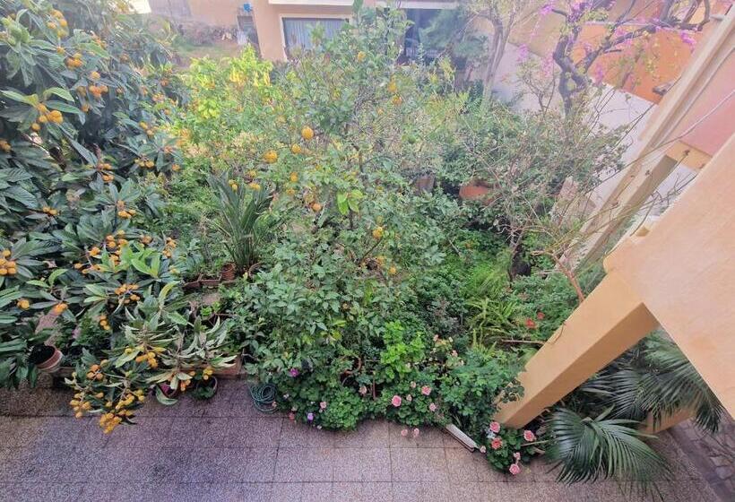 Номер Стандарт, B&b Ametista