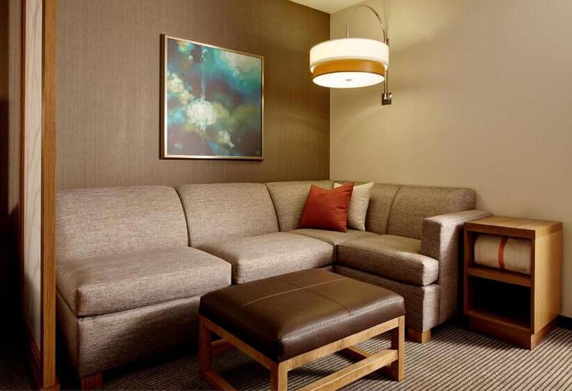 キングサイズベッドのスタンダードルーム, Hyatt Place New York Yonkers