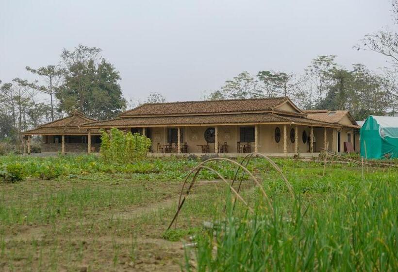 Quarto Estandar, Tharu Community Lodge