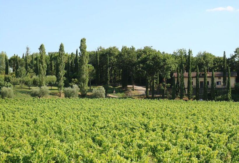 Студия Стандарт, Agriturismo La Sovana
