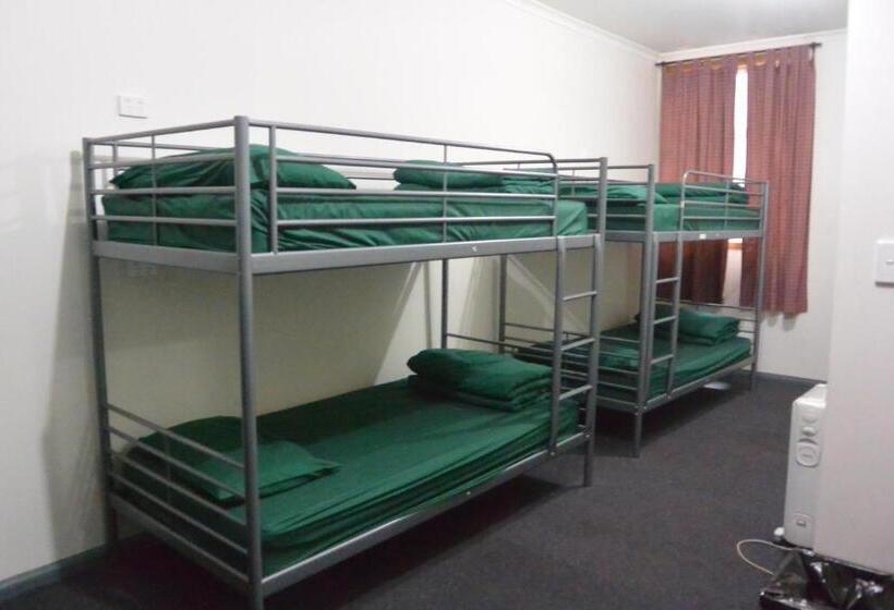 Bed in Shared Room with Shared Bathroom, Elizabeth Hostel