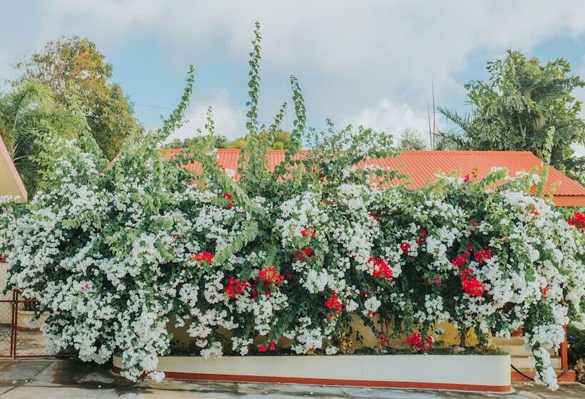 اتاق لوکس, Beach Garden