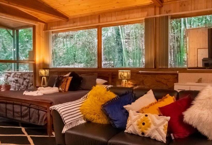 标准平房, Treetops Montville