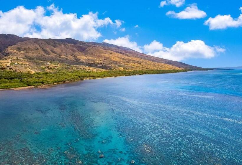 Студия Стандарт, Molokai