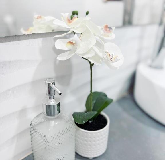 Люкс Повышенной Комфортности, Comunidad Calle 13 Hotel Boutique