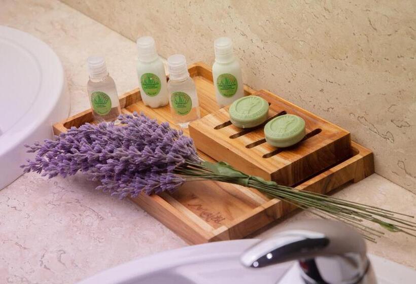 Бунгало Стандарт, Malai Manso Resort Yatch Convention & Spa