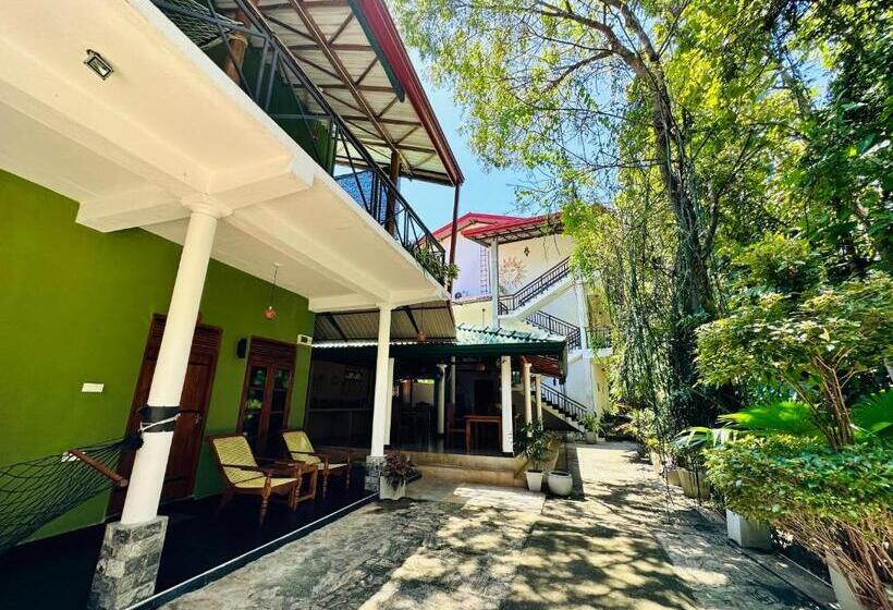 اتاق استاندارد, Nature House