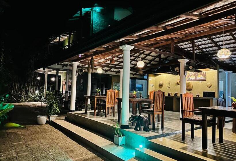 اتاق لوکس سه تخته, Nature House