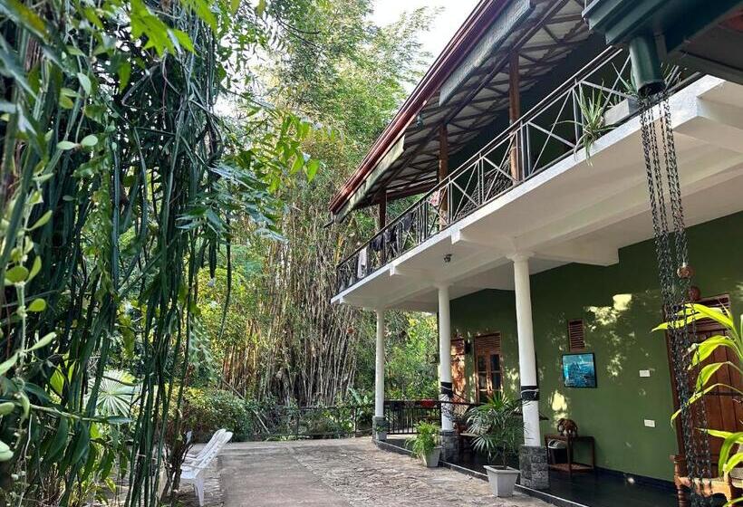 اتاق استاندارد, Nature House