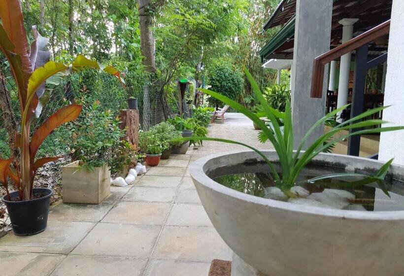 اتاق لوکس سه تخته, Nature House