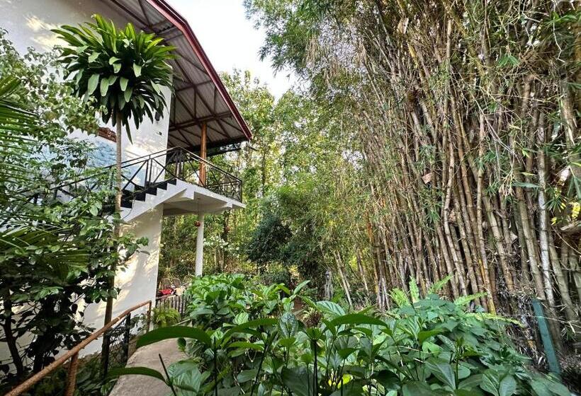 اتاق لوکس سه تخته, Nature House