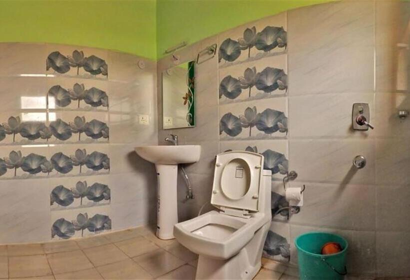 Номер Deluxe, Tsomoriri Hotel Lake View