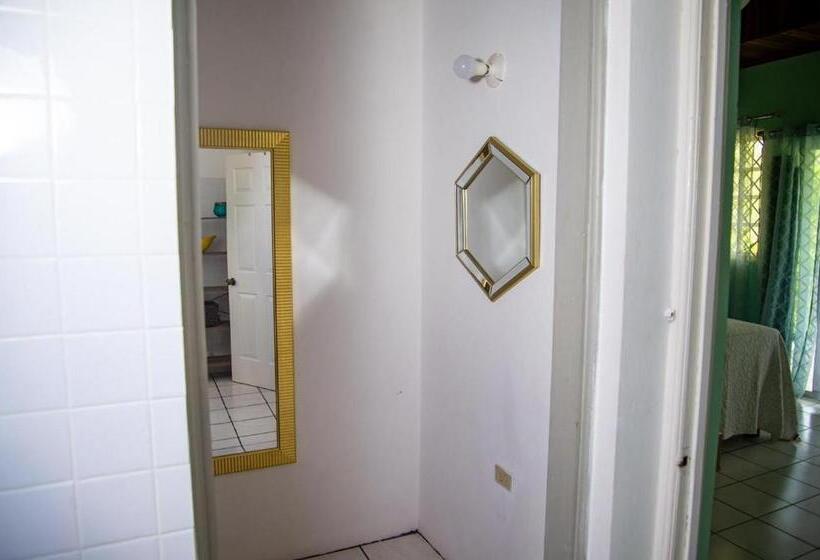 اتاق استاندارد با چشم‌انداز باغ, Villa Havana Negril