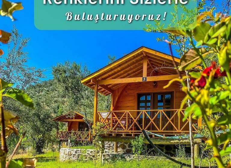 Бунгало Deluxe, Kazdağları Sağlıklı Yaşam Köyü