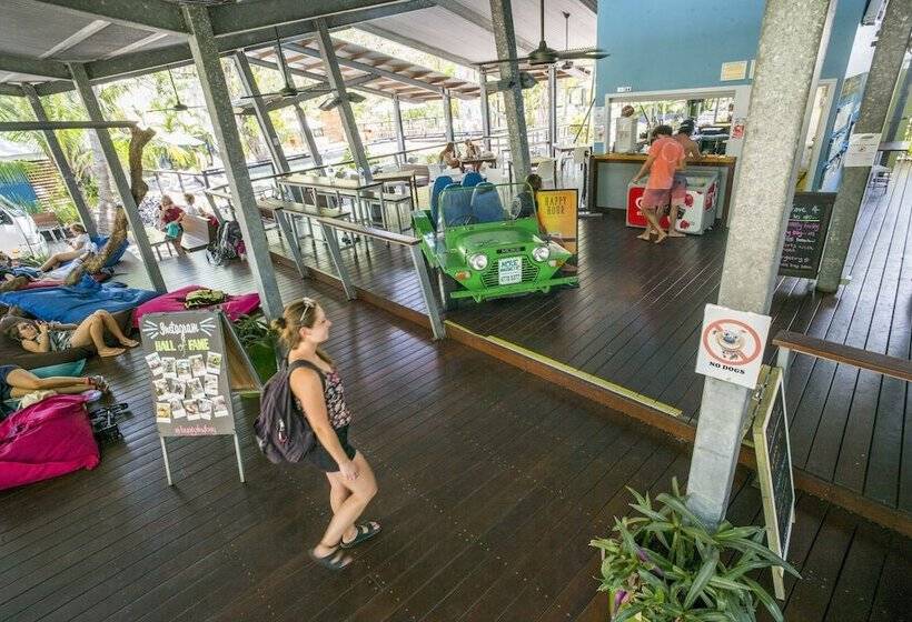 Номер Стандарт, Bungalow Bay Koala Village   Hostel