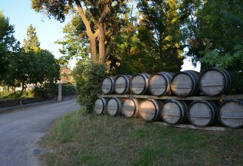 스탠다드 룸, Room In Guest Room   Londres Guest Room In The Heart Of The Vineyard