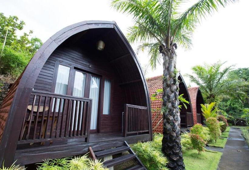 Номер Стандарт Вид на Бассейн, Klumpu Hill Villas Nusa Penida