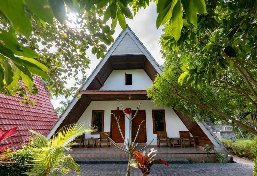 标准间, Suan Bubble & Triangle Diamond Beach