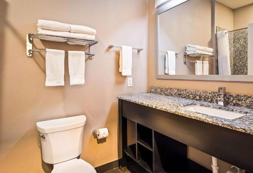 带大床的套房, Best Western Plus Dilley Inn & Suites