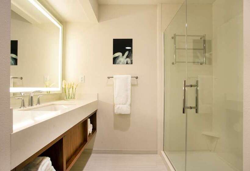 스탠다드 룸 킹사이즈 침대, Hilton Cleveland Downtown