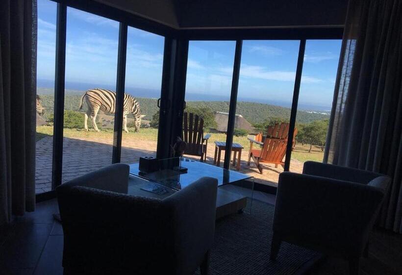 Люкс, Jbay Zebra Lodge