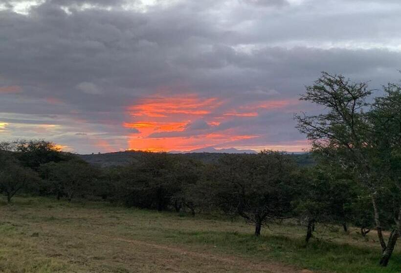 Номер Стандарт, Jbay Zebra Lodge