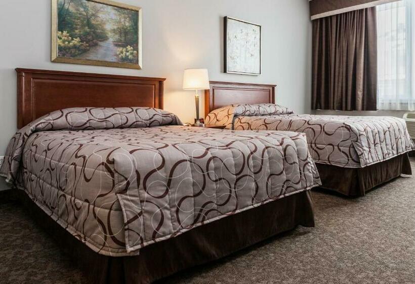 Номер Стандарт, Adam S Airport Inn