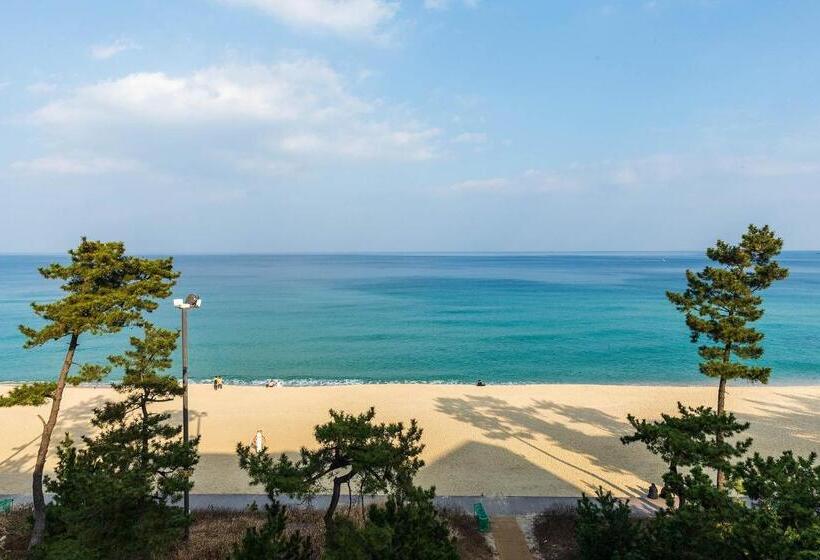 Triple Room Sea View, Gyeongpo Soo