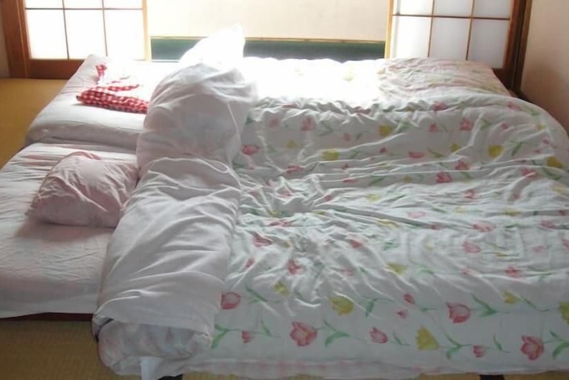 غرفة قياسية ثلاثية, Narusawa Lodge
